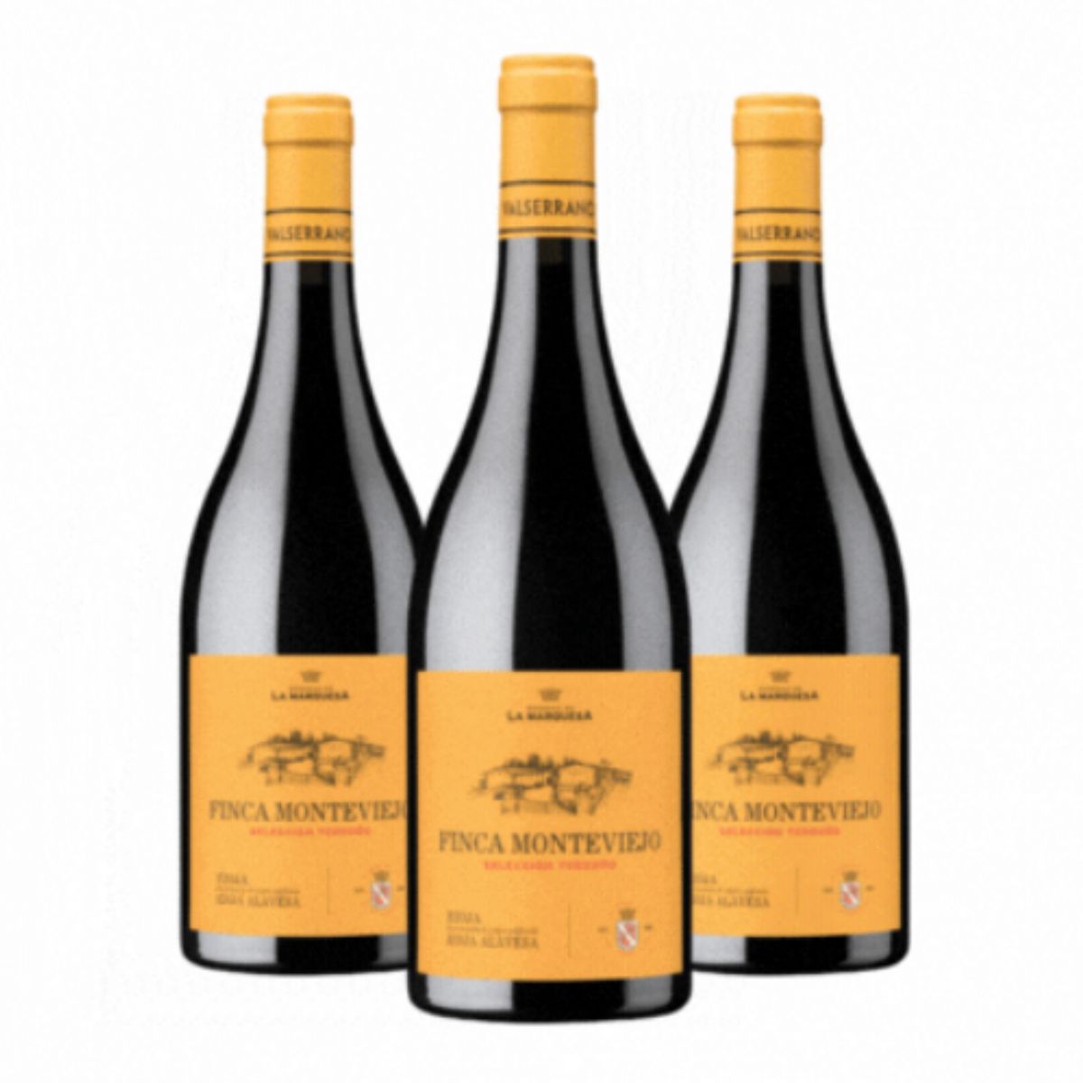 TRIO-2018-VALSERRANO-FINCA-MONTEVIEJO